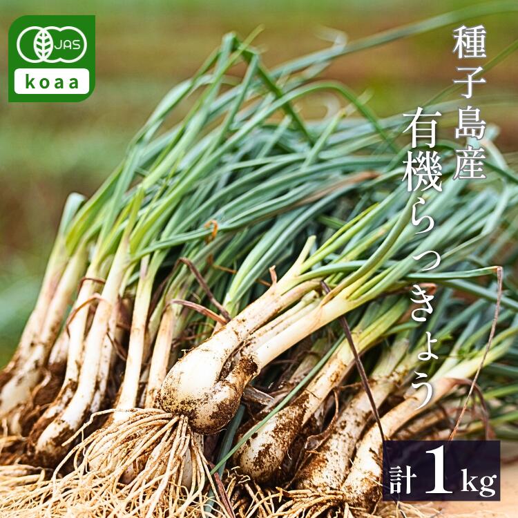 【ふるさと納税】 ＼先行予約／ 誠農園 たねがしま らっきょう （ 有機 JAS 根つき 生らっきょう ）1kg