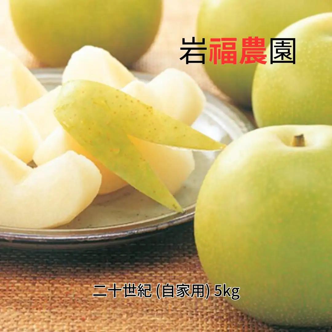 先行予約 和梨 二十世紀 自家用 5kg [9月中旬~順次発送予定] 新潟県産 二十世紀 訳アリ 二十世紀 [岩福農園] 