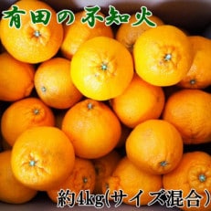 【濃厚】有田産不知火約4kg(M～3Lサイズ混合)(日高町)