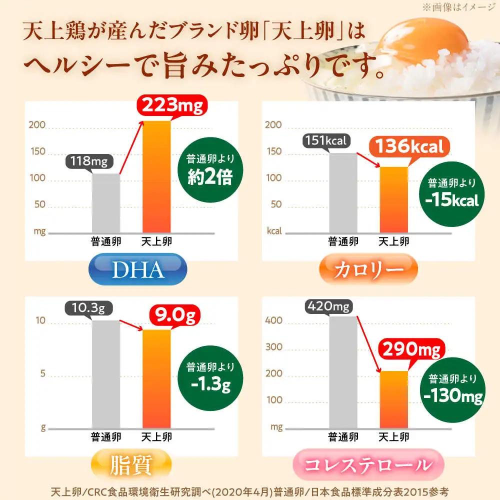 平飼い 卵  「 天上卵 」 40個 セット 《糸島》 糸島市 / 糸島ファームハウスUOVO [AKH005] 鶏卵 平飼い 平飼い卵 玉子 たまご 高級 自然 新鮮 自家配合飼料