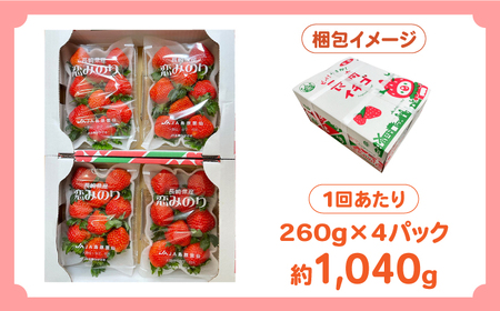 【5回定期便】【2025年1月〜発送】南島原産 いちご 「恋みのり」約260g×4P / イチゴ 苺 フルーツ 果物 / 南島原市 / あゆみfarm[SFF004] イチゴ 苺 いちご定期便 フルー