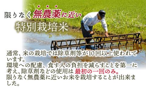 【令和5年産】【無農薬に限りなく近い】ミルキークイーン 玄米 5kg 除草剤１回のみ・有機質肥料による特別栽培米 減農薬 化学肥料不使用[A-030001]