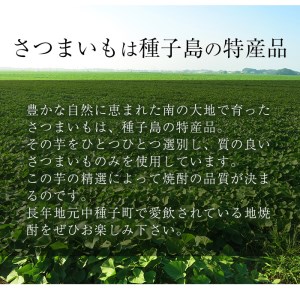 島乃泉(900ml×6本) 鹿児島 種子島 芋 いも お酒 ギフト 四元酒造 【四元商店】n182-2