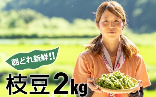 新鮮お届け！夏の味覚「枝豆」たっぷり2㎏ ／ Fiz-08