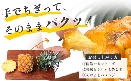 【先行受付】パイナップル/ボゴール種 (約800g×2玉) ≪2026年7月下旬以降順次発送≫ DS-004 ｜パイン パイナップル パインアップル フルーツ ボゴールパイン スナックパイン 産地直送