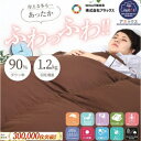 【ふるさと納税】羽毛掛け布団 シングル 日本製 無地ブラウン ダウン90% 1.2kg 立体スクエアキルト 8か所ループ付き 抗菌 防臭 消臭 パワーアップ加工 かけ布団 肌布団 軽い ふっくら ふんわり 爽やか 防ダニ 保温 暖かい ふわふわ ダウンパワー330dp