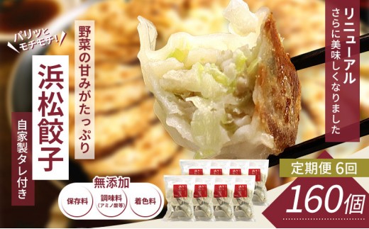 
                  【定期便6回】浜松餃子 160個 (20個×8袋) セット 詰め合わせ 餃子のたれ 小袋 知久屋 国産 ぎょうざ 餃子 ギョーザ 冷凍餃子 冷凍ギョーザ 工場直送 ヘルシー あっさり 惣菜 中華 点心 静岡 浜松市 【配送不可：離島】
                