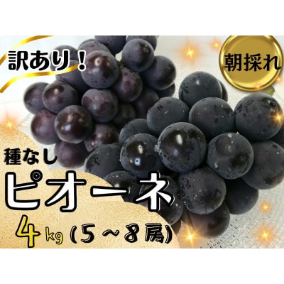 【2026年先行受付】訳あり岡山県産ピオーネ4kg【配送不可地域：離島】【1571848】