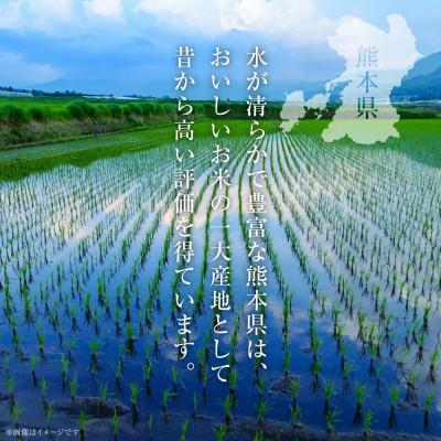 ふるさと納税 八代市 【令和7年産】 熊本県産 くまさんの輝き 5kg(5kg×1袋) 【八代食糧】 |  | 01