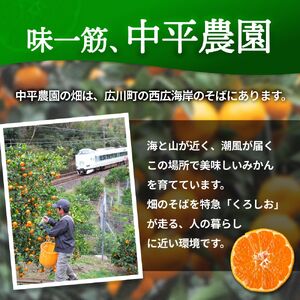 大好き みかん 5kg ご家庭用 サイズ混合 / 温州みかん 有田みかん 甘い 柑橘 和歌山 ※2026年11月中旬から2027年1月上旬に順次発送予定 【nkh004-c-5】