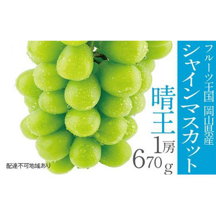 【ふるさと納税】【内容量が選べる】ぶどう 2026年 シャイン マスカット 晴王 1房 約670g～2房 計約1.1kg | フルーツ 果物 くだもの 食品 人気 おすすめ 送料無料