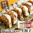 【ふるさと納税】飛騨高山餃子 餃子 100個入り ＜ 生冷凍餃子 ＞ ぎょうざ ギョーザ 冷凍 冷凍餃子 簡易包装 業務用 惣菜 ニラ 豚肉 大容量 TR3493