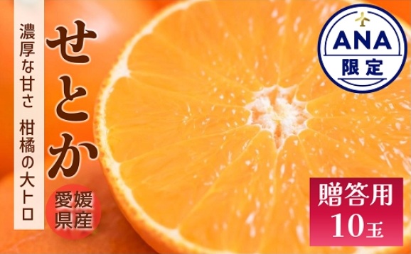 せとか みかん 愛媛 10玉 贈答用 人気 数量限定 先行予約 【2026年2月上旬以降発送】 柑橘 愛媛県産 伊予市｜C129