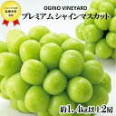 【ふるさと納税】【先行予約】2024年秋収穫先行予約 山梨県産シャインマスカット 約1.4kg2房＜出荷時期：2024年8月20日出荷開始～2024年10月8日出荷終了＞【内祝い 内祝 お祝い 御祝い 御祝 お礼 御礼 プレゼント ギフト 山梨県 南アルプス市 】