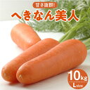 【ふるさと納税】碧南市 代表 ブランド 人参 へきなん美人 にんじん 10kg 野菜 離乳食 にんじんジュース 愛知県 送料無料