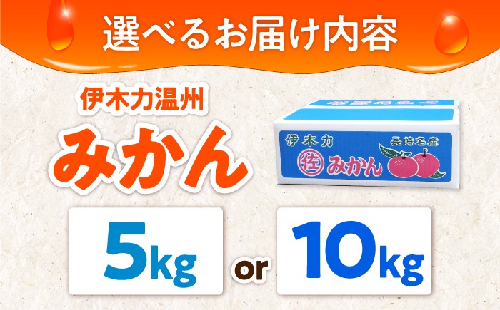 みかん ミカン 蜜柑 みかんジュース フルーツ 果物
