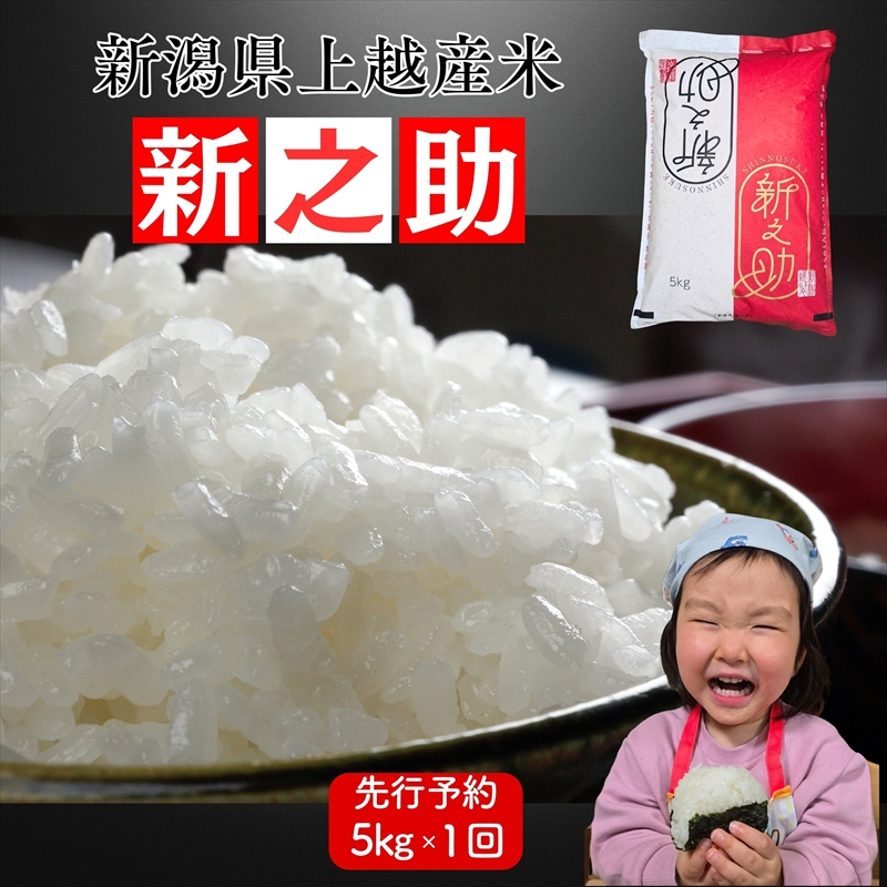 令和8年産　先行予約　上越市産新之助　5kg　新米　精米　新潟　米　新潟県　新之助　限定　おすすめ　米ヴィレッジさんわ