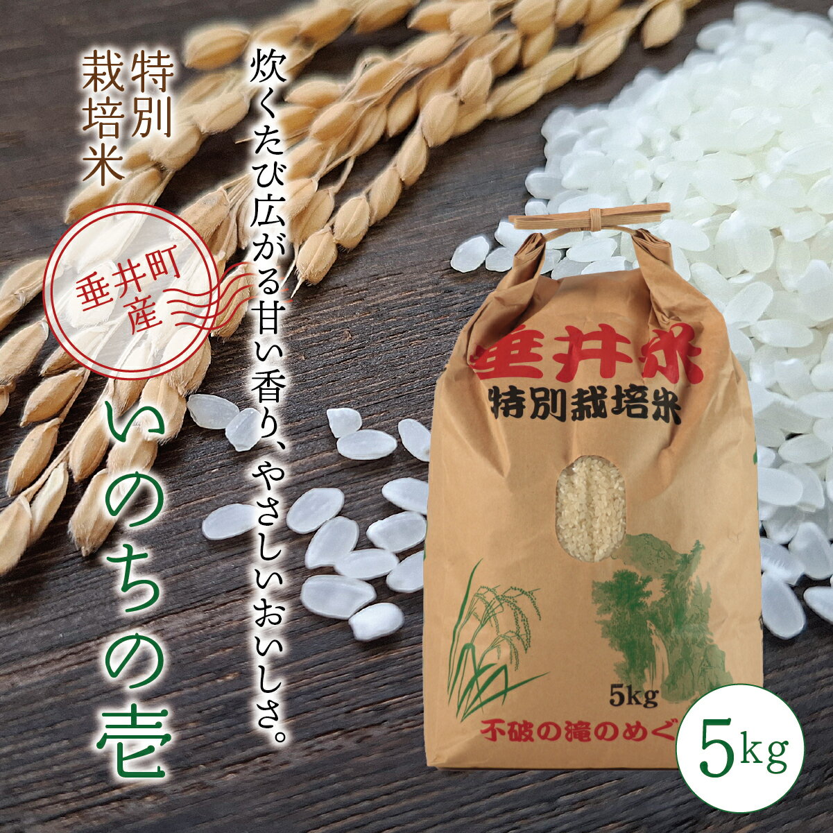 【ふるさと納税】≪令和7年産≫【特別栽培米】垂井町産 いのちの壱 5kg ｜ お米 米 こめ コメ 白米 精米 ご飯 ライス 産地直送 ギフト 贈答用 プレゼント 岐阜県産