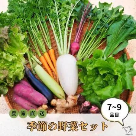 【農家直送】なるべく自然に近い環境で栽培した「季節のおまかせ野菜セット』(7～9品)【配送不可地域：離島】【1705543】