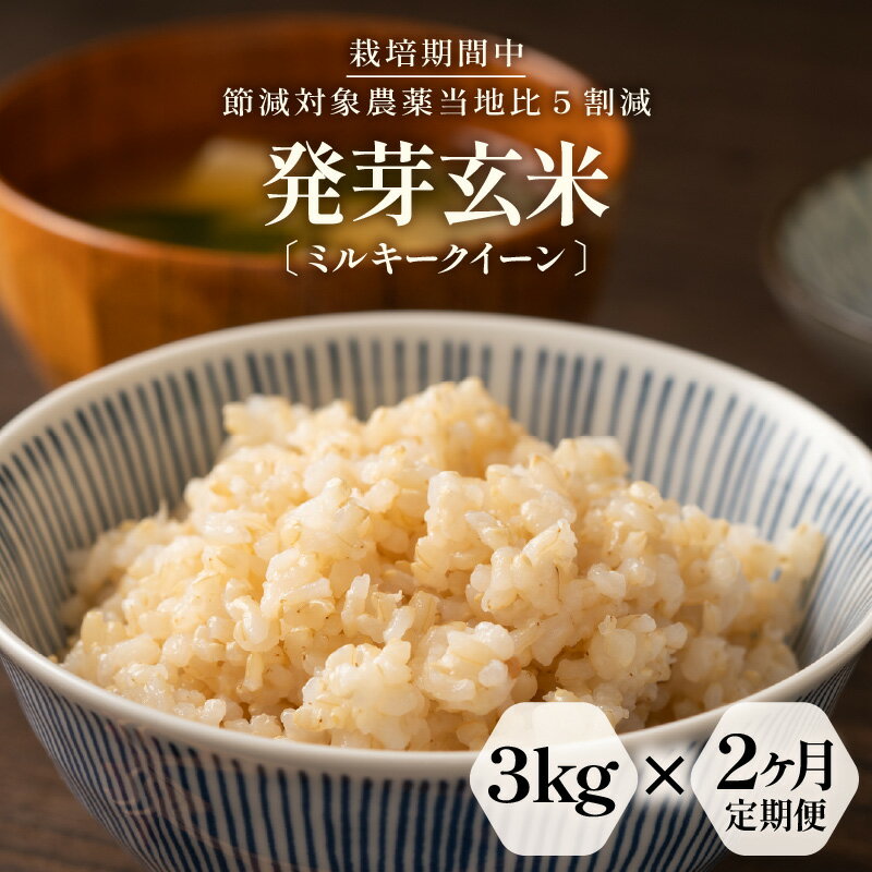 【ふるさと納税】【期間限定】【2ヶ月連続お届け】【令和7年産】発芽玄米 特別栽培米 ミルキークイーン 真空パック 3kg × 2回（計6kg）～甘みがありモチモチやわらか～ 【米 玄米 ギャバ GABA 特別栽培 食物繊維 栄養 ごはん ご飯 おいしい ふるさと納税米】
