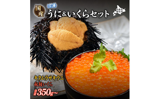 登別近海産 冷凍 キタムラサキウニ 500g 北海道産天然秋鮭 冷凍いくら500g (250g×2) セット