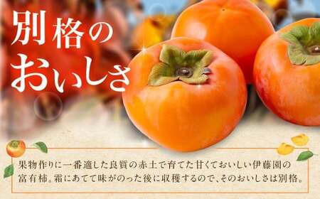 【先行予約】伊藤園 冷蔵富有柿 （Lサイズ） 17玉～19玉 約5kg 【2025年12月中旬から12月下旬出荷予定】 ／ 富有柿 柿 果物 フルーツ くだもの うきは市
