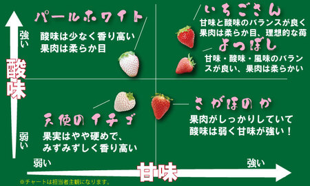 【先行予約（１月から順次出荷】さがほのか（280ｇ×３パック）（ふるかわ農園）  B120-002