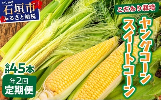 【先行予約2026年1月-5月配送】1番遅くて1番早い? プレミアムヤングコーンとスイートコーンのよくばり定期便！！朝採れを皮付きのままお届け！！