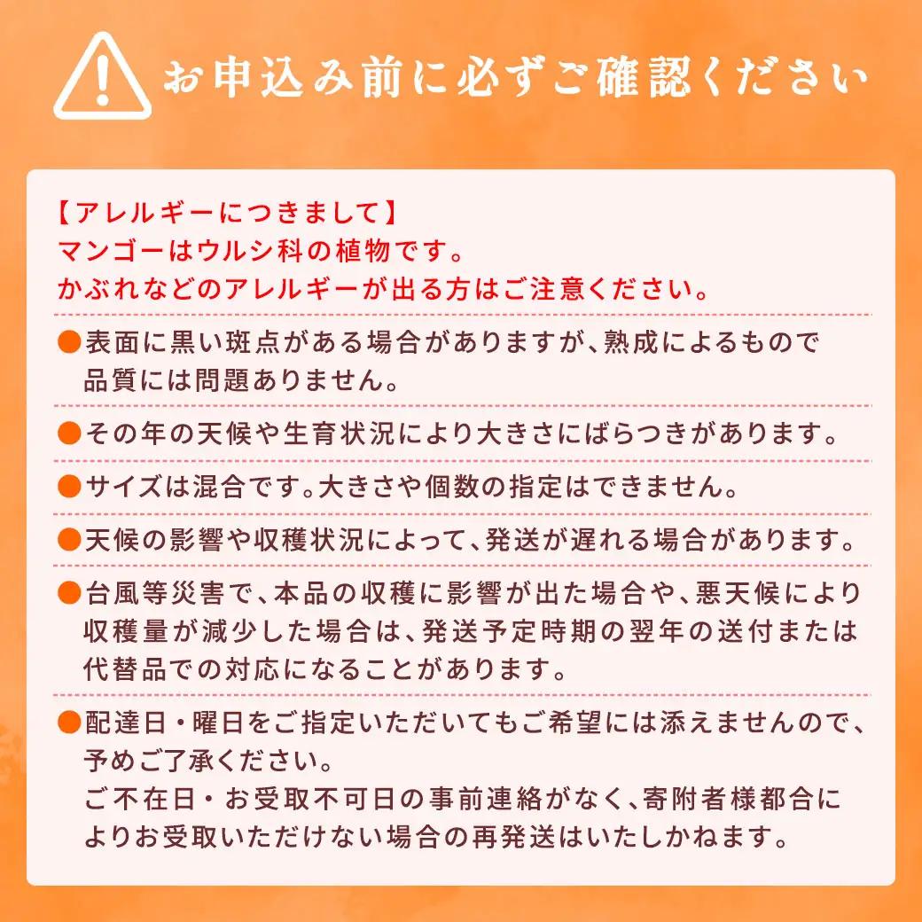 【2026年7～9月発送】今が旬！ 完熟 アップル マンゴー 1kg（2～3玉）モトキ農園 鹿児島県 奄美大島 宇検村 南国 マンゴー フルーツ 果物 