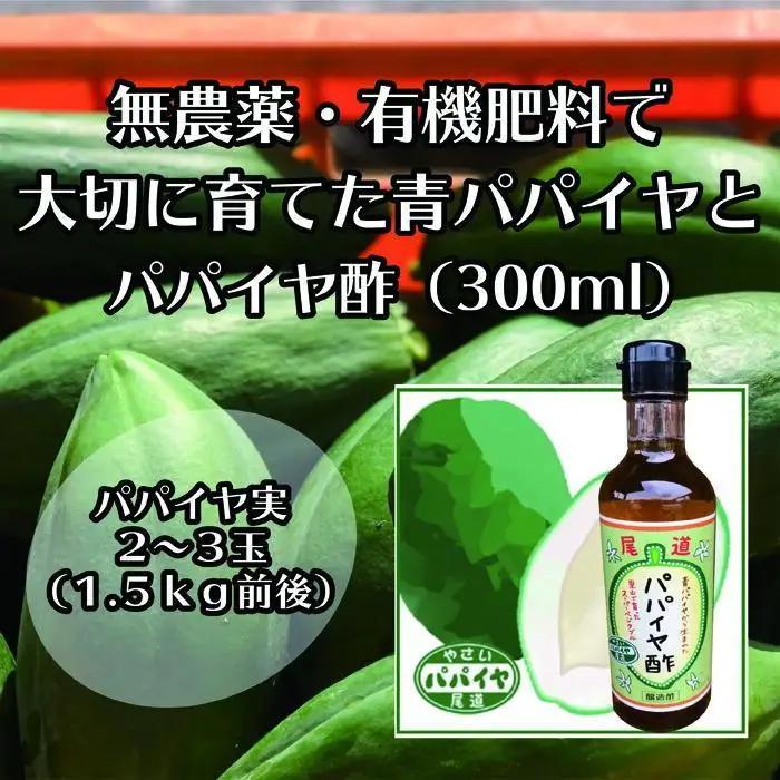 【先行予約】無農薬・有機肥料で大切に育てた パパイヤ 2-3玉 1.5キロ前後（栽培期間中農薬不使用）と パパイヤ酢300mlのセット　2026年9月発送