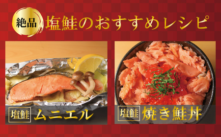 訳あり 塩銀鮭 切身 約1kg 鮭 鮭 鮭 鮭 鮭 鮭 鮭