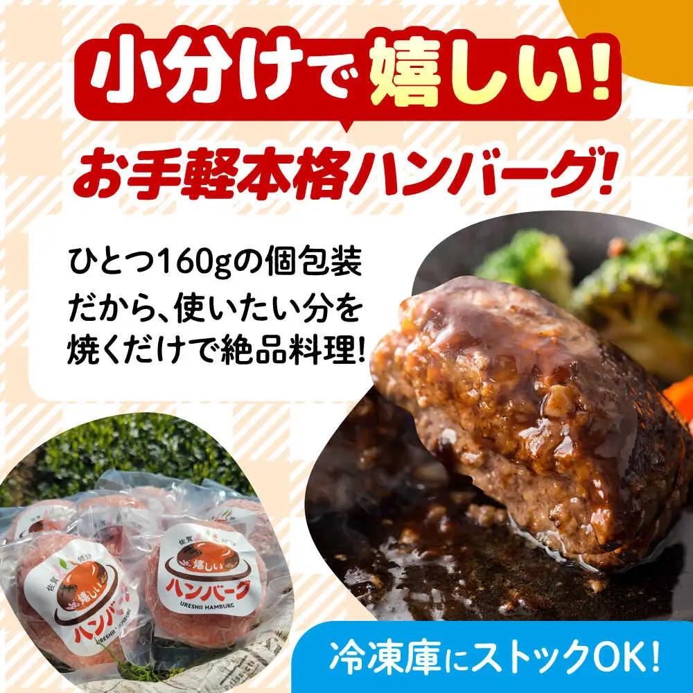 嬉しいハンバーグ 5個 NAC034 ハンバーグ