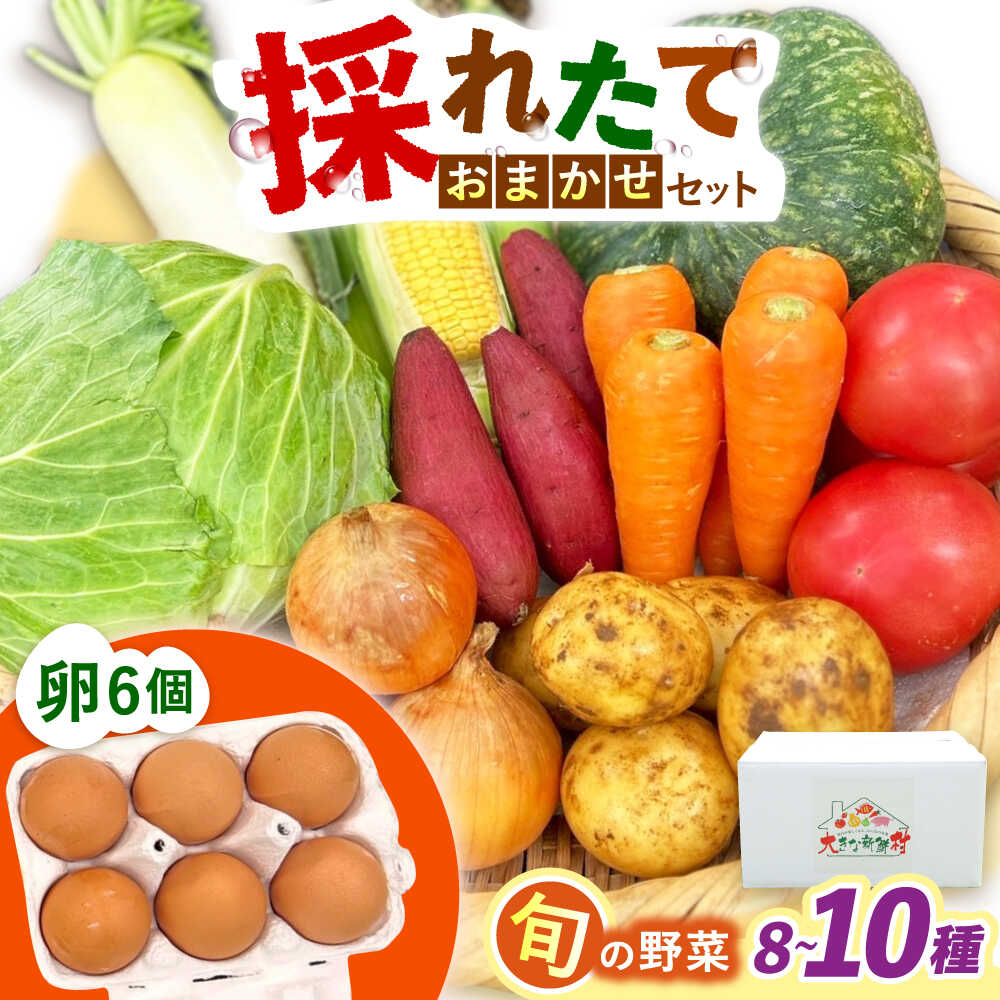 【ふるさと納税】採れたてお野菜おまかせ（8〜10種）・卵6個セット/ 野菜 やさい 野菜セット 野菜詰め合わせ 詰め合わせ セット たまご 卵 タマゴ 紅たまご こだまさんち / 大村市 / かとりストアー[ACAN107]