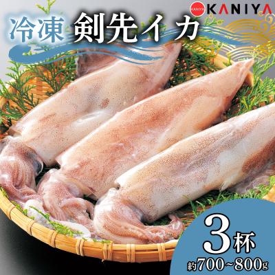 ふるさと納税 下関市 【限定100・寄附額変更中】 剣先イカ 約700~800g 下関 《蟹屋:KNY》KNY-KE01