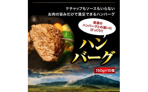 あか牛を堪能できるステーキとハンバーグセット計2kg ブランド牛 あか牛 和牛 国産 牛肉 ステーキ ハンバーグ 2kg 人気 ヘルシー セット 食べ比べ バラエティ 熊本 阿蘇 希少 希少部位