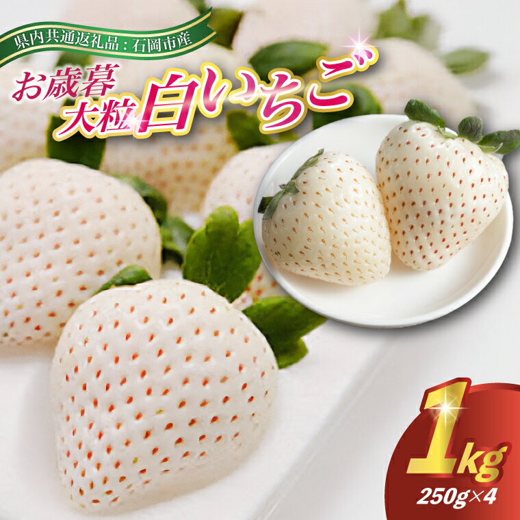 【ふるさと納税】2025年12月より順次発送お歳暮白いちご大粒250g(8〜12粒)×4pc県内共通返礼品:石岡市産【配送不可地域：離島・沖縄県】 (BR033)