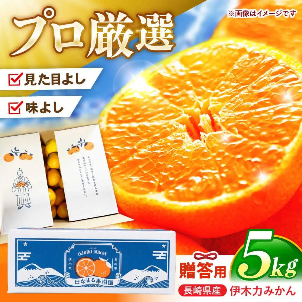 ※【2026年11月下旬より順次発送／先行予約】伊木力みかん「はなまるみかん」(贈答用) 5kg / 伊木力みかん みかん 蜜柑 ミカン 柑橘 果物 フルーツ / 諫早市 / 株式会社山野果樹園 [AHCF003]