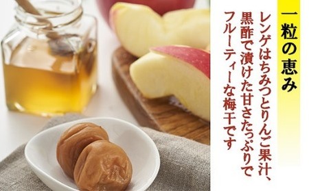 一粒の恵み B-014