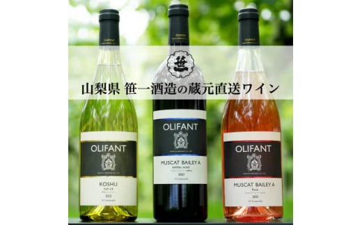 【蔵元直送】笹一酒造のOLIFANT(オリファン)ワイン＜赤・白・ロゼ＞6本セット