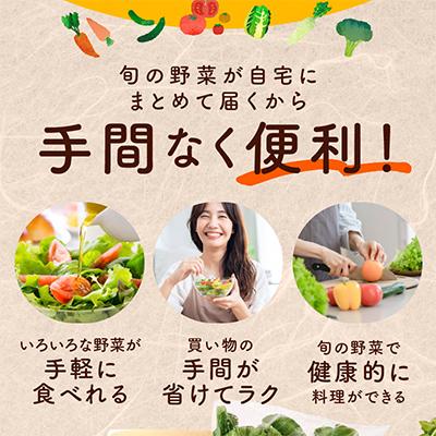 ふるさと納税 泉佐野市 【毎月定期便】新鮮 野菜セット 10種類 詰め合わせ 全6回 099Z186 |  | 03