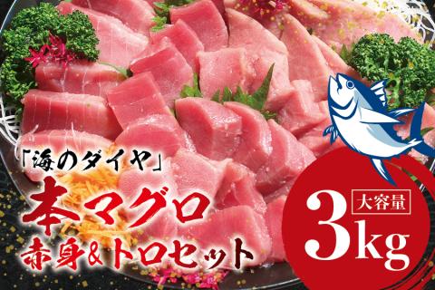 本マグロ（養殖）トロ＆赤身セット 3kg 【1月発送】高級 クロマグロ  中トロ 中とろ まぐろ マグロ 鮪 刺身 赤身 柵 じゃばらまぐろ 本マグロ 本鮪 【nks112B-1】