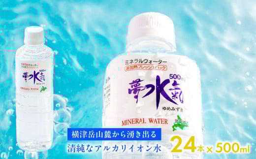 ミネラルウォーター夢水氣（500ml×24本） 天然アルカリイオン水 軟水 【ふるさと納税 人気 おすすめ ランキング 天然アルカリイオン水 天然水 ミネラルウォーター 横津岳山麓 北海道 七飯町 送料無料】 NABI001