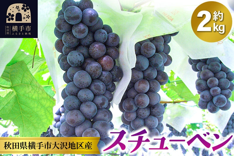 
                  【先行受付】9月下旬より発送 濃甘な完熟葡萄 横手市大沢地区産 ぶどう スチューベン 約2kg [ぶどう ブドウ 葡萄 果物 フルーツ 横手産 秋田産 秋田県産]
                