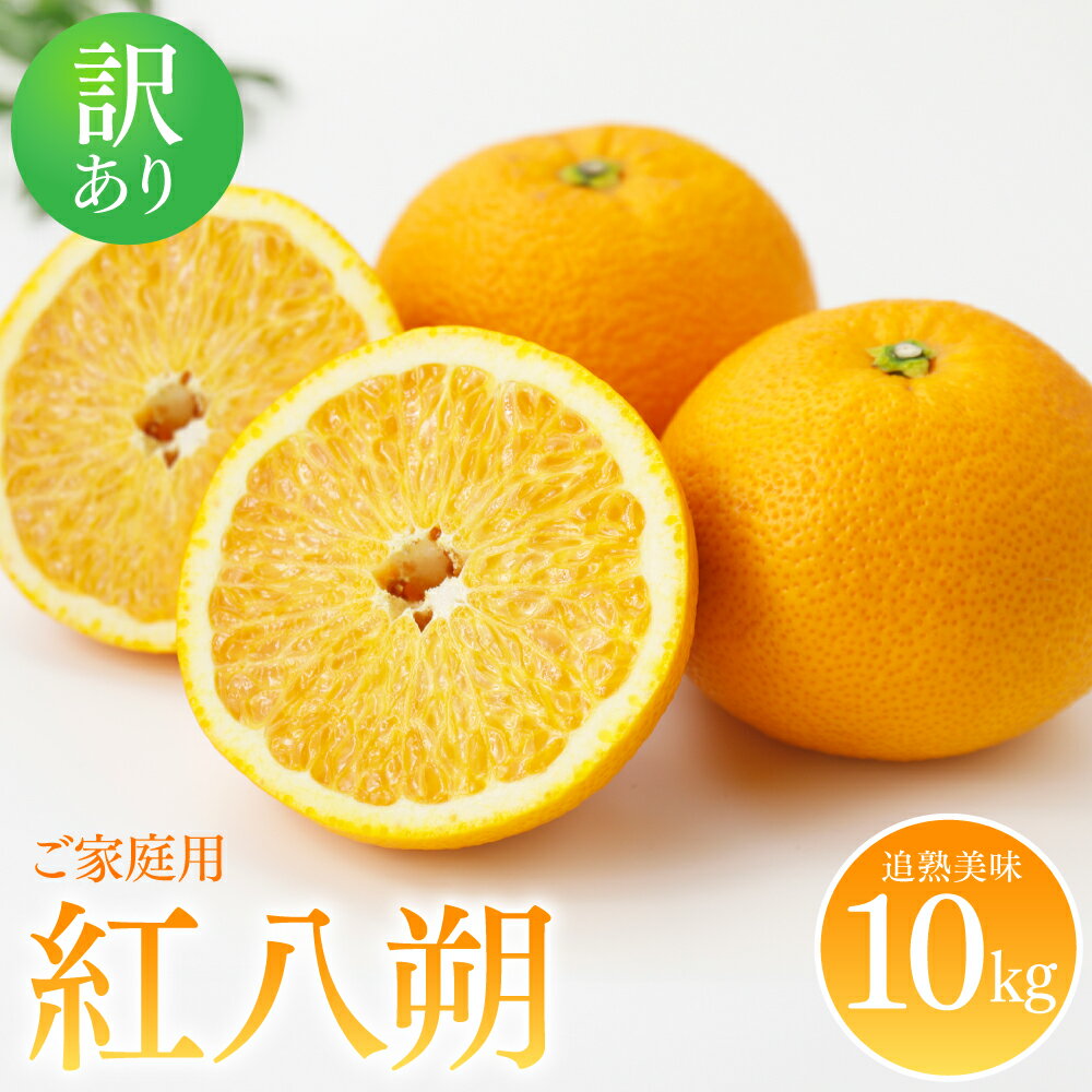 【ふるさと納税】【先行予約】 ＜訳あり＞ 紅八朔 ご家庭用 約10kg 柑橘 かんきつ 果物 くだもの フルーツ べにはっさく 熊本県 八代市 送料無料 【2026年2月上旬より順次発送】