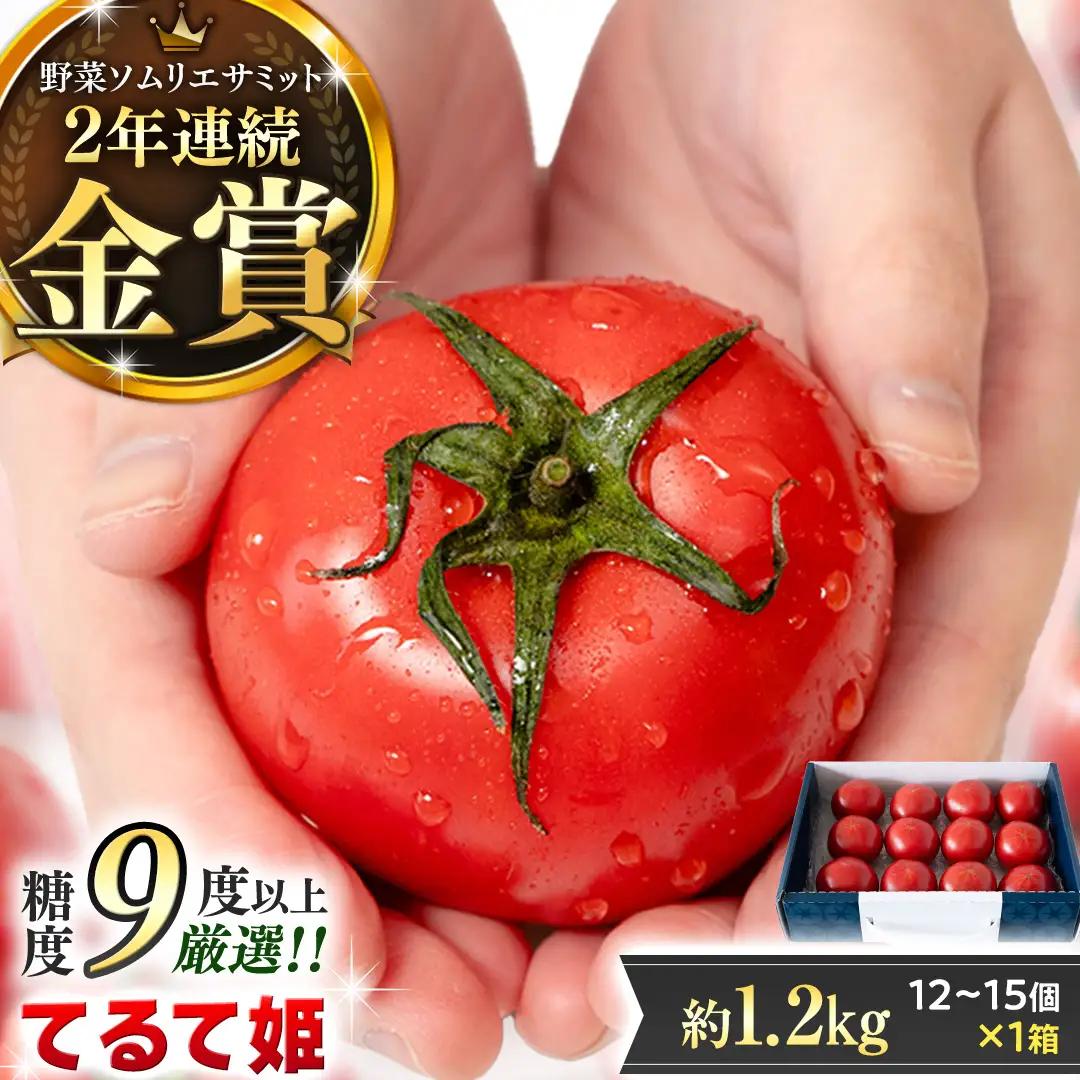 《 2027年 収穫分 》2～6月配送 スーパーフルーツトマト てるて姫 中箱 約1.2kg × 1箱 【12〜15玉/1箱】 糖度9度以上 定期便 先行予約 フルーツトマト ブランドトマト 野菜 ギフト 贈答 青空レストラン アド街ック天国 グッドモーニング 黄金のワンスプーン 昼めし旅 [BC033sa]