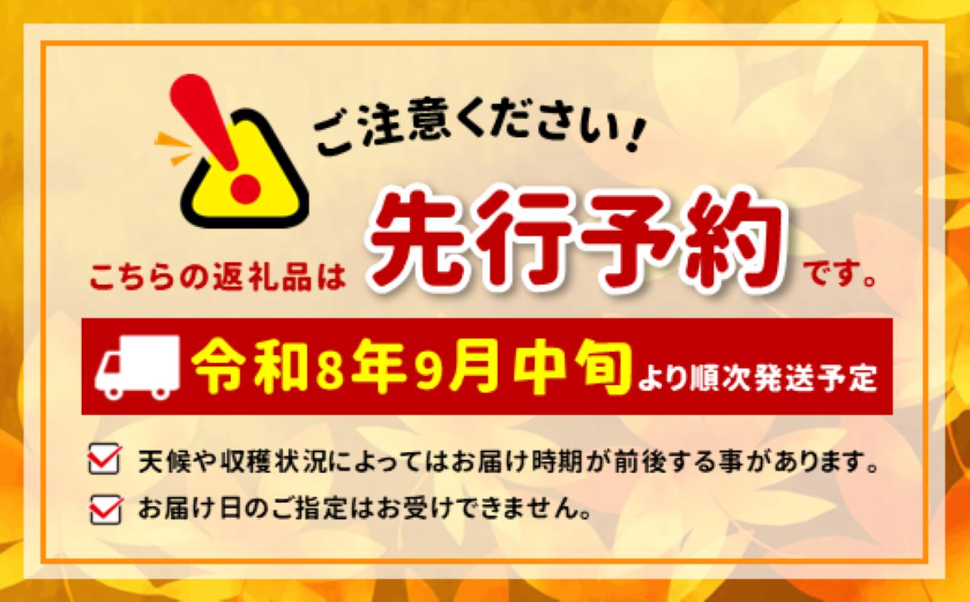 ジューシーで甘い!長野県産 なし (南水) 約3キロ 秀品〈2026年9月中旬～10月中旬発送〉