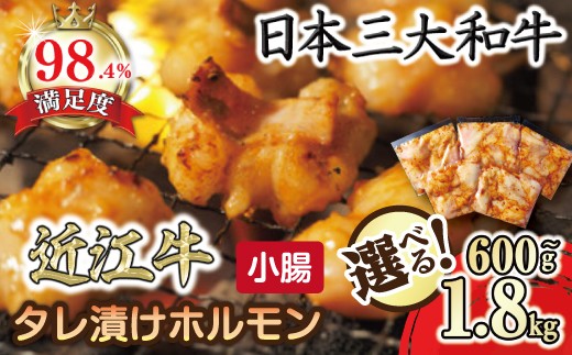 
                  近江牛 味付けホルモン 近江牛小腸 自家製ダレ 600g ～ 1.8kg 【FOSKU2】 秘伝のタレ漬け 焼肉 小分け 滋賀県 近江八幡市
                