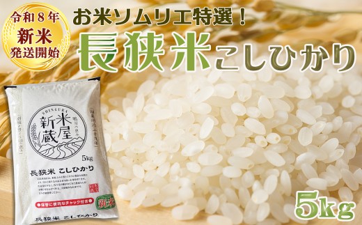 《新米発送開始》【お米ソムリエ厳選】鴨川のブランド米『長狭米コシヒカリ（一等米）』５kg《令和８年産》《2週間以内に発送》《配送指定OK》こしひかり 長狭米 千葉県産 ブランド米 コメ 白米 精米 米食味鑑定士 精米したて 色彩選別 [米屋新蔵][0011-0094]