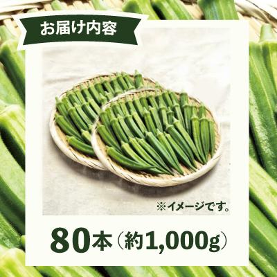 ふるさと納税 大館市 トロッとおいしいオクラ＜80本、約1000g＞ |  | 02