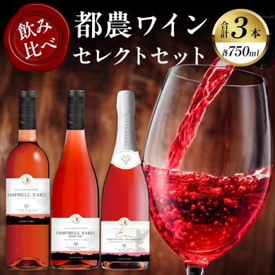 ふるさと納税 都農町 都農ワインセレクトセット(合計3本) 酒 飲料 国産 都農スペシャル_T014-001
